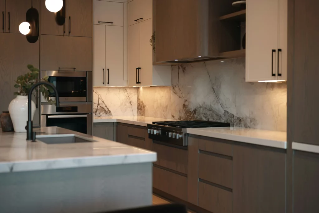 Quartzite island and slab backsplash